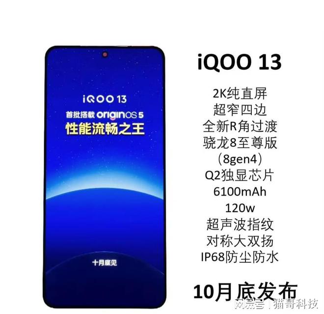 iQOO 13造反？赶超vivo X200支持超声波指纹网友：真是父慈子笑(图8)