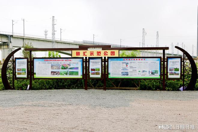 东港区：“碳汇”裸土治理模式为日照生态底色增靓(图1)