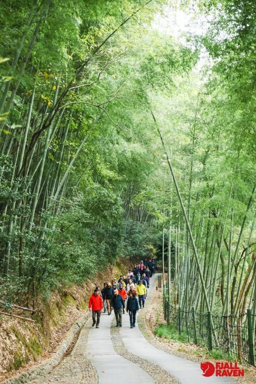 富春江畔开启一场关于山野和探险的沉浸式体验(图7)